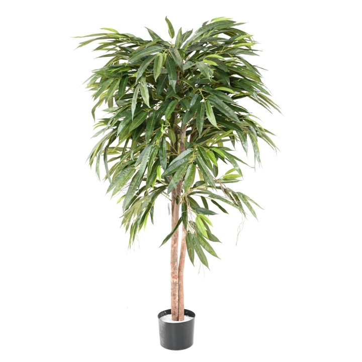 Künstlicher Ficus Longifolia - 160 cm - Lebensechtes Grün