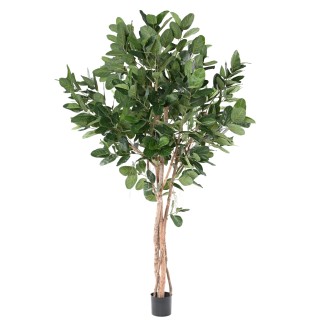 Imposanter Kunstficus Audrey - 310 cm - Gruen