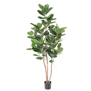 Künstlicher Ficus Audrey, 190cm, Grün