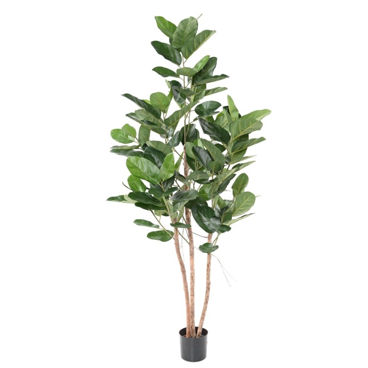 Künstlicher Ficus Audrey, 190cm, Grün