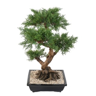 Künstlicher Bonsai-Juniperus 75cm Grün