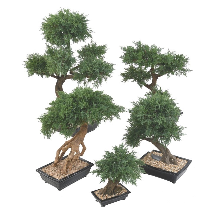 Künstlicher Bonsai-Juniperus 60cm Grün