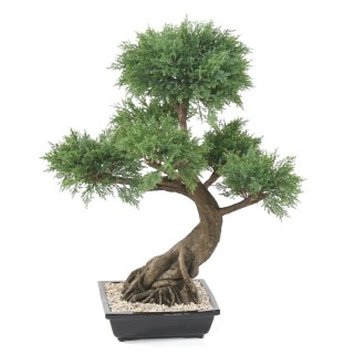 Künstlicher Bonsai-Juniperus 100cm Grün