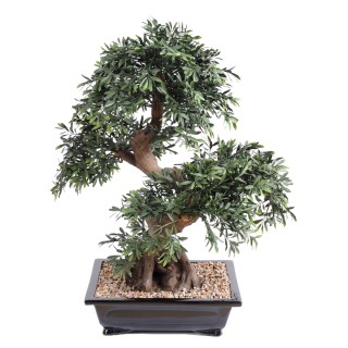 Dekorativer Kunstbonsai Schwarz-Weide, 70cm Hoch, Grün