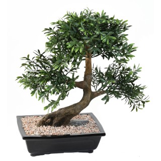 Deko Bonsai Schwarz-Weide, 50cm, naturgetreu, grün