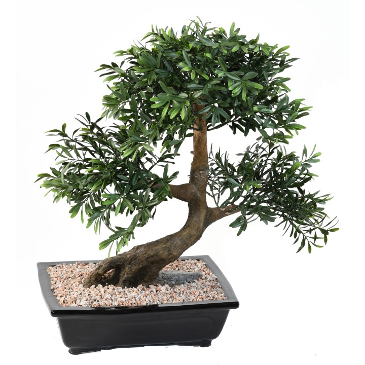 Deko Bonsai Schwarz-Weide, 50cm, naturgetreu, grün
