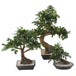 Künstlicher Ficus Bonsai 58cm - Lebensechte Grünpflanze