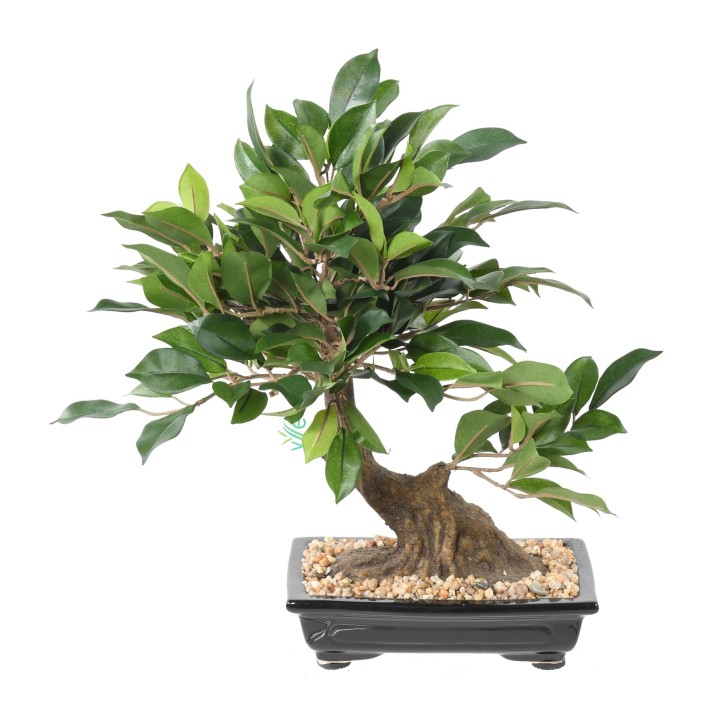 Pflegeleichter Künstlicher Bonsai Ficus, 38cm, Grün