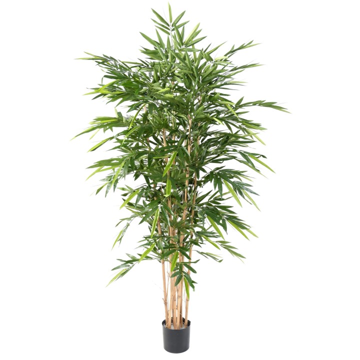 Exotischer Kunstbambus 180cm Grün