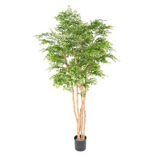 Künstlicher Akazienbaum 210cm - Grün