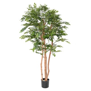 Künstlicher Akazienbaum 200cm - Naturgetreue Raumgestaltung Grün