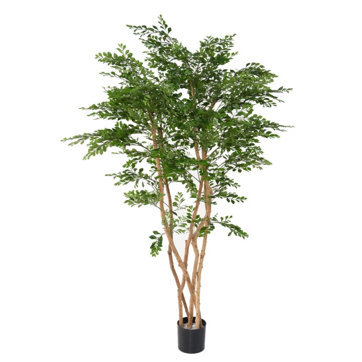 Künstlicher Akazienbaum 180cm Hoch - Naturgetreue Nachbildung Grün