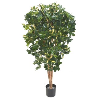 Künstliche Schefflera Pflanze - 150cm Grün