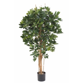 Künstliche Schefflera Pflanze 150cm Grün