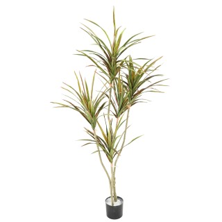 Künstliche Dracaena Pflanze 190cm Grün