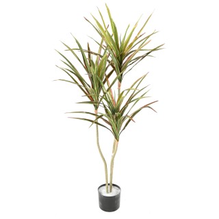Dekorative Dracaena Kunstpflanze 140cm, Grün