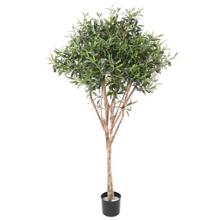Künstlicher Olivenbaum 165 cm – Mediterrane Eleganz