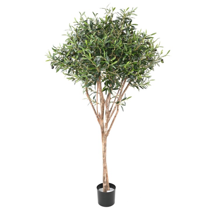 Künstlicher Olivenbaum 165 cm – Mediterrane Eleganz