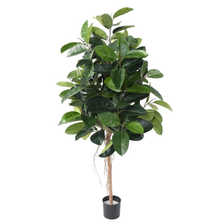 Künstlicher Gummibaum Ficus Elastica, 180 cm