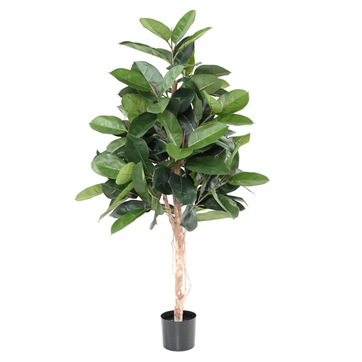 Exklusiver Künstlicher Gummibaum Ficus Elastica – 150 cm