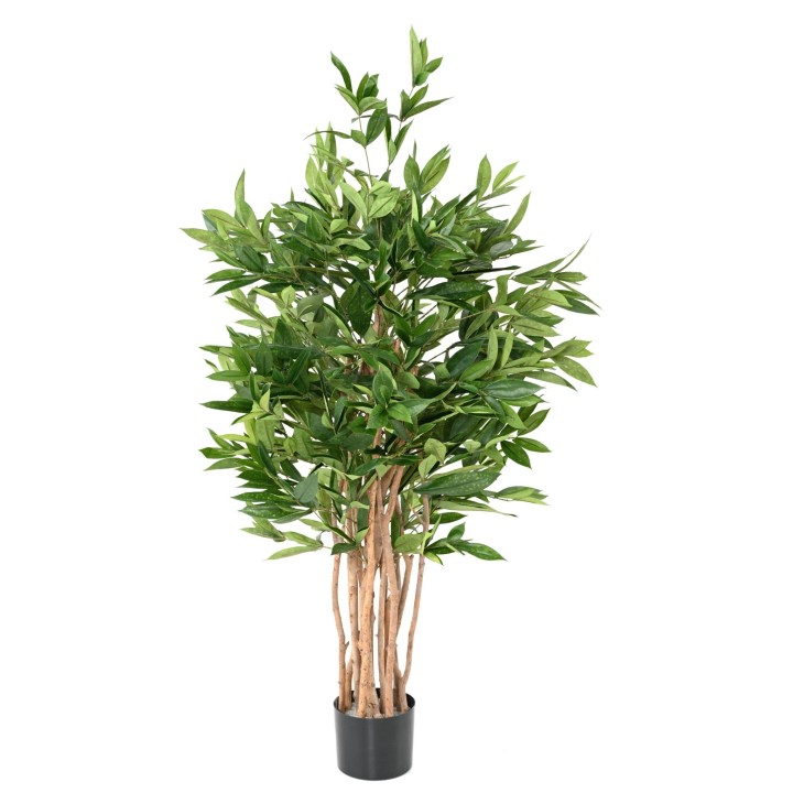 Künstliche Dracaena Surculosa 155cm Grün