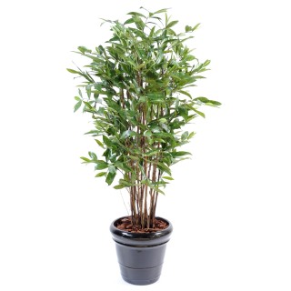 Hochwertige künstliche Dracaena Surculosa Pflanze, 150cm, grün