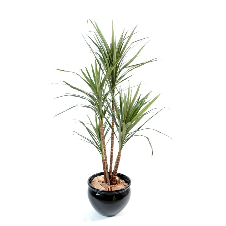 Künstliche Dracaena Marginata Pflanze 130cm - Grün mit roten Blattspitzen