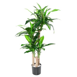 Dracaena Fragrans Kunstpflanze - 135 cm - Grünes Blattwerk