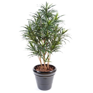 Elegante Kunstpflanze Dracaena Anita, 155cm, lebensechtes Grün