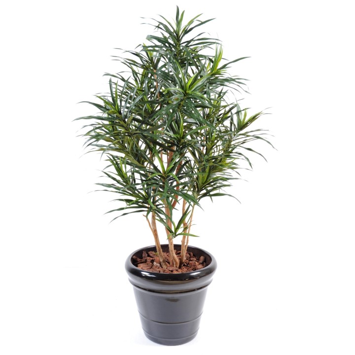 Künstliche Dracaena Anita – 125 cm, Grün