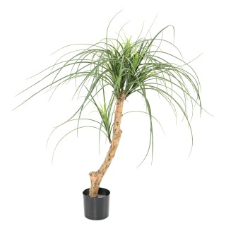 Kunst-Beaucarnea, 90cm, gruen