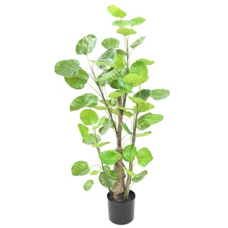 Aralia Fabian Kunstpflanze 90cm, Grün - Täuschend echt