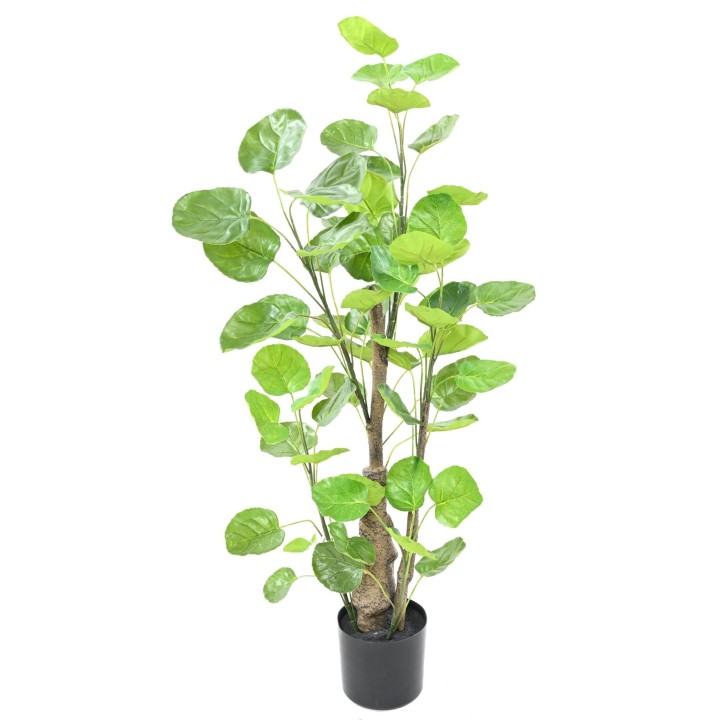 Aralia Fabian Kunstpflanze 90cm, Grün - Täuschend echt