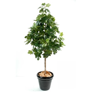 Naturgetreuer Kunst-Feigenbaum, 170cm, lebendig Grün