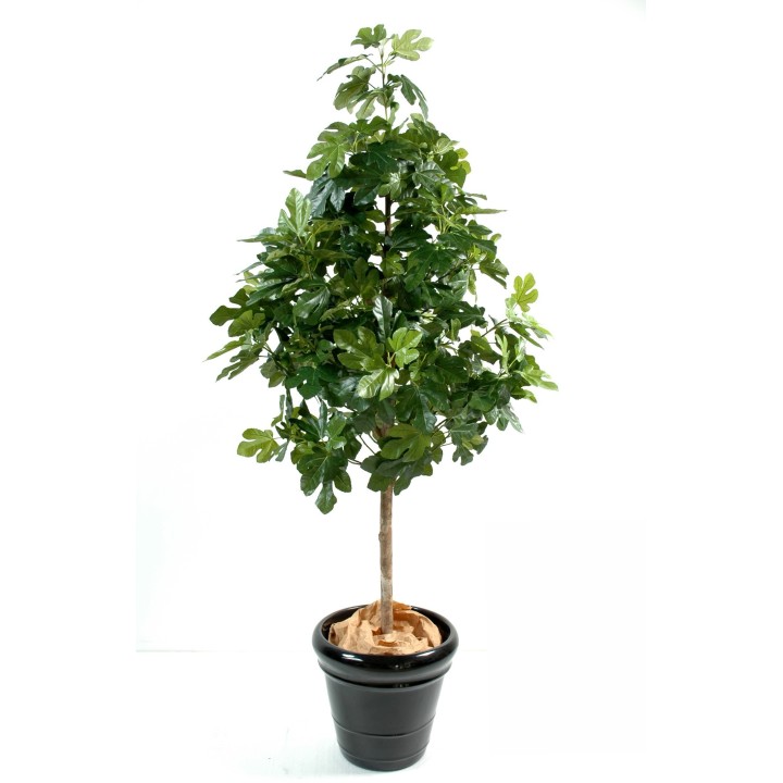 Naturgetreuer Kunst-Feigenbaum, 170cm, lebendig Grün