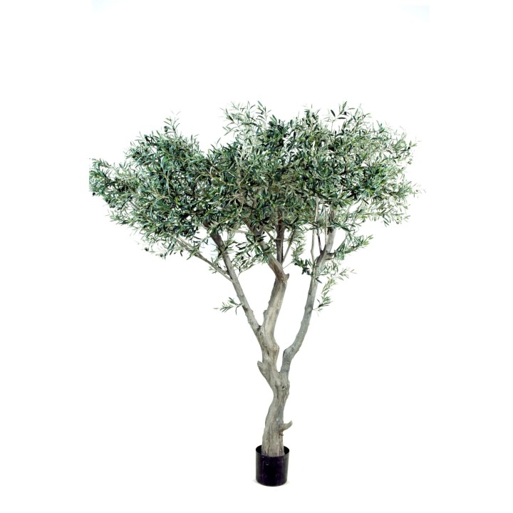 Künstlicher Olivenbaum 240cm - Silbergrüne Blätter