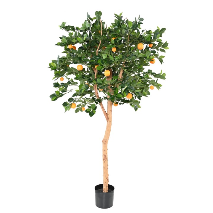 Künstlicher Orangenbaum 185cm - Lebensecht Grün