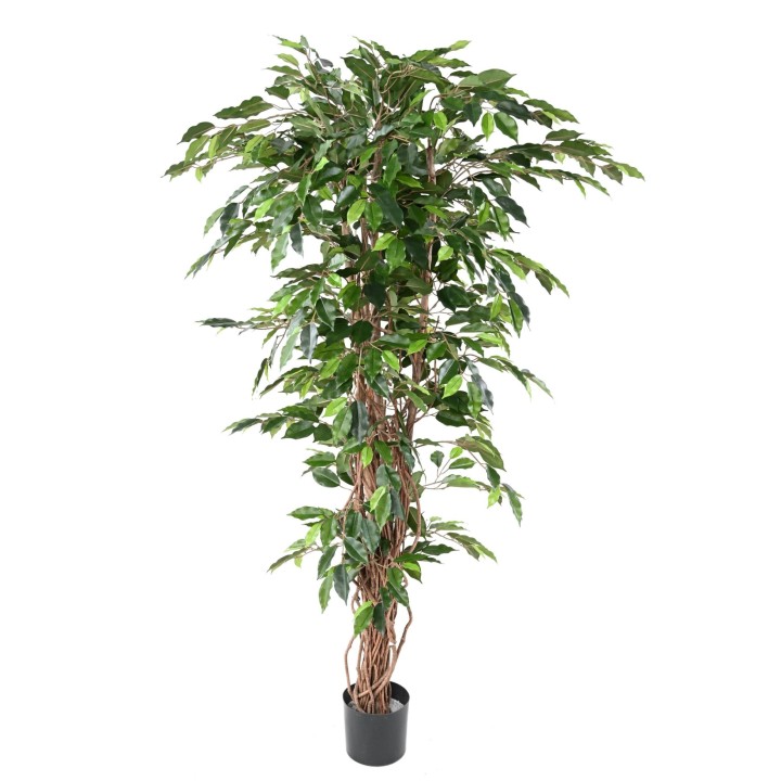 Pflegeleichter Kunst-Ficus Baum, 180cm, Naturgetreues Grün