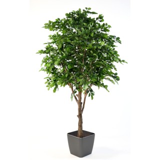 Realistische Kunst-Buche 280cm - Dichte Blätter Grün