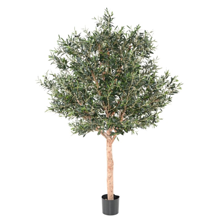 Exklusiver Kunst-Olivenbaum 210cm - Silbergrüne Pracht für Innenräume