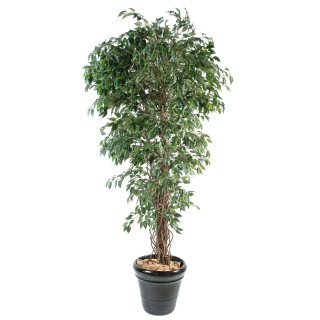 Künstlicher Ficus Baum 210 cm - Grün
