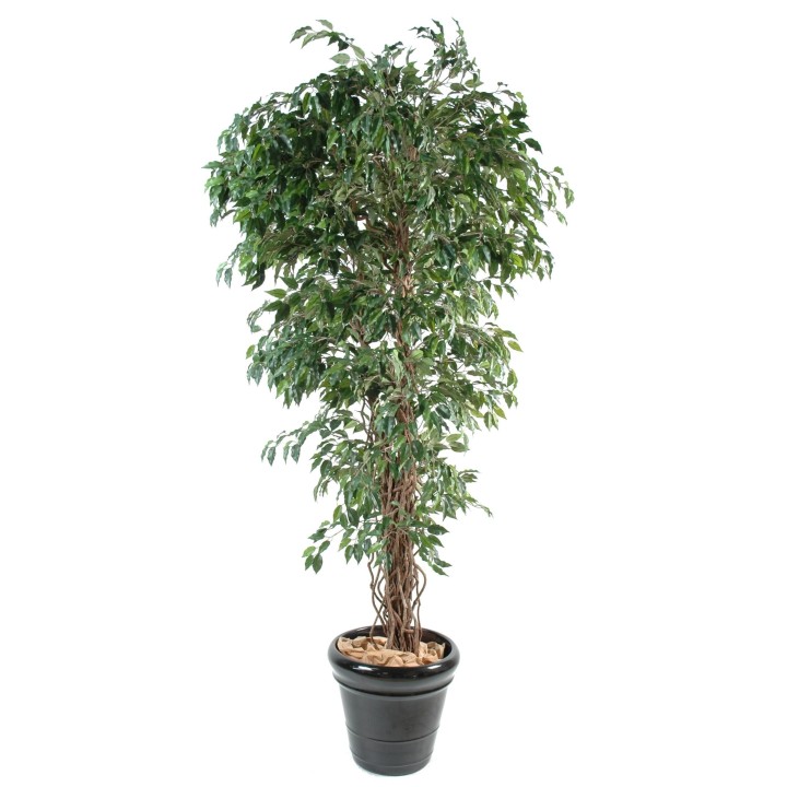 Künstlicher Ficus Baum 210 cm - Grün