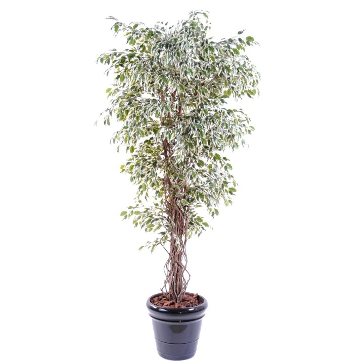 Künstlicher Ficus Baum 150cm Grün