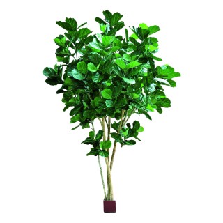 Künstlicher Ficus Lyrata Baum, ca. 420 cm hoch, Grün
