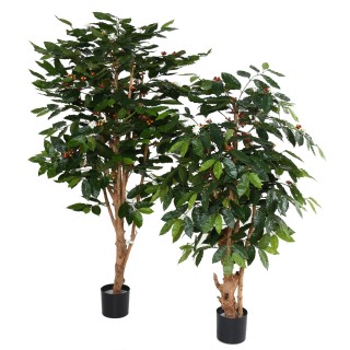 Realistischer Kaffeebaum Kunstpflanze 150cm Grün