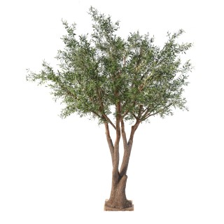 Künstlicher Olivenbaum 330cm, Silbergrün