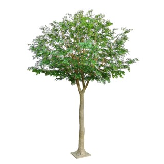 Grosser Künstlicher Bucida Baum - 450cm Hoch, Grün