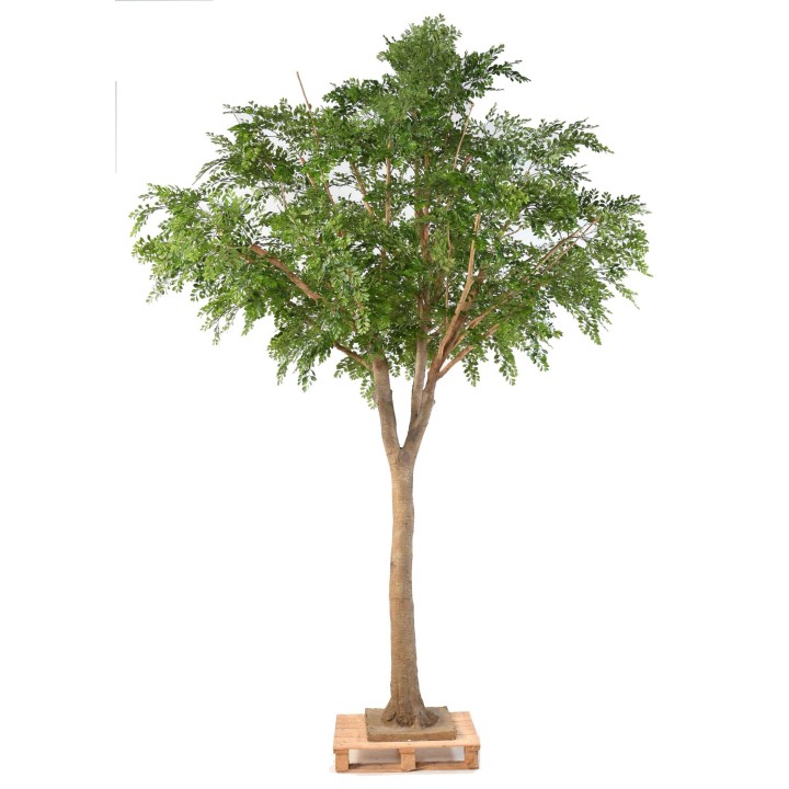 Künstlicher Bucida Baum 360cm Grün