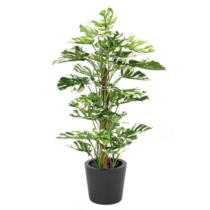 Künstlicher Philodendron Monstera Baum, 160cm, Lebendiges Grün