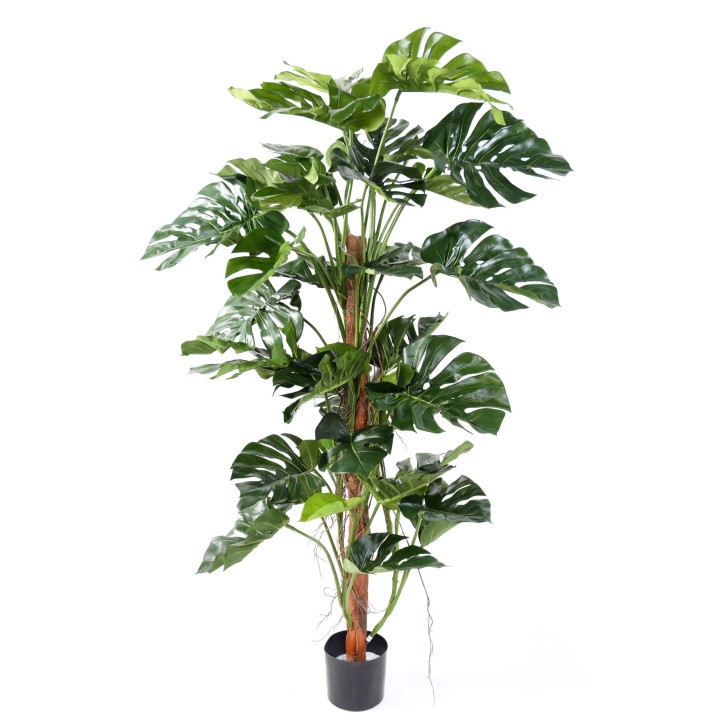Künstlicher Philodendron Monstera 160cm – Naturgetreue Grünpflanze